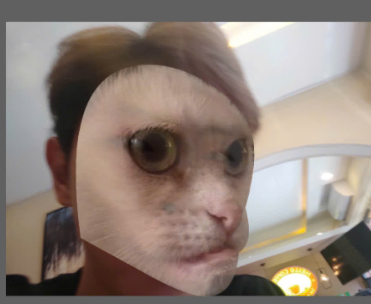 Jz